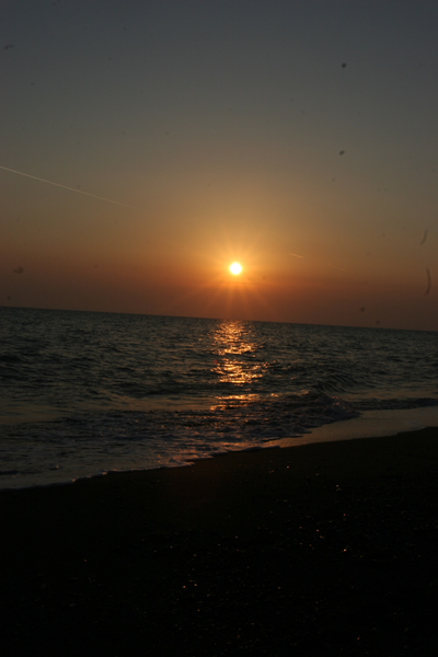 IMG_7290.jpg